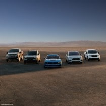 Freedom of Choice Campaign